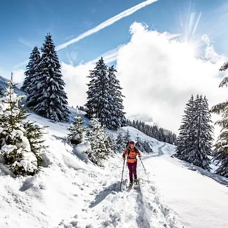 Appartamento Petit Savoyard Py9 Mountain & Cosy 6 Pers Châtel