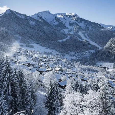 Petit Savoyard Py9 Mountain & Cosy 6 Pers * Châtel