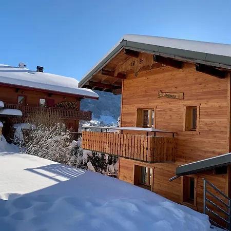 Petit Savoyard Py9 Mountain & Cosy 6 Pers * Châtel