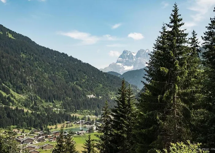 Apartament Petit Savoyard Py9 Mountain & Cosy 6 Pers Châtel