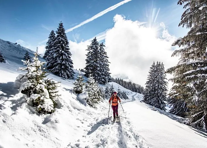 Apartament Petit Savoyard Py9 Mountain & Cosy 6 Pers Châtel