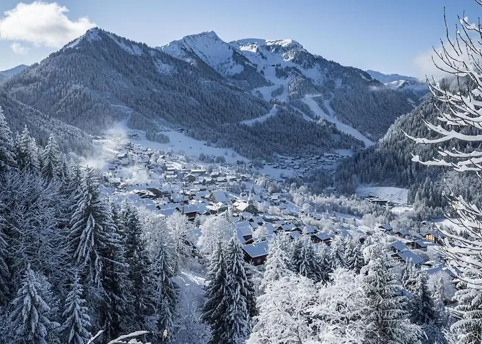 Petit Savoyard Py9 Mountain & Cosy 6 Pers * Châtel